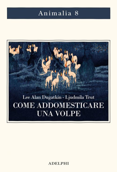 come addomesticare una volpe Come Addomesticare Una Volpe