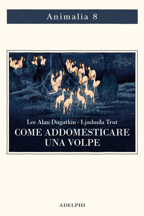 come addomesticare una volpe Come Addomesticare Una Volpe