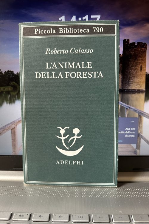 IMG_5004 L’ANIMALE DELLA FORESTA