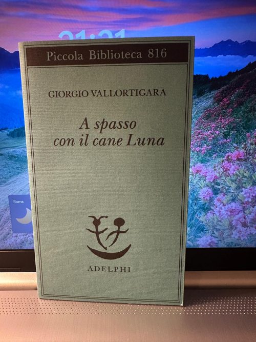 A spasso con il cane luna
