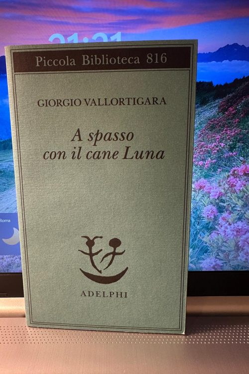 A spasso con il cane luna