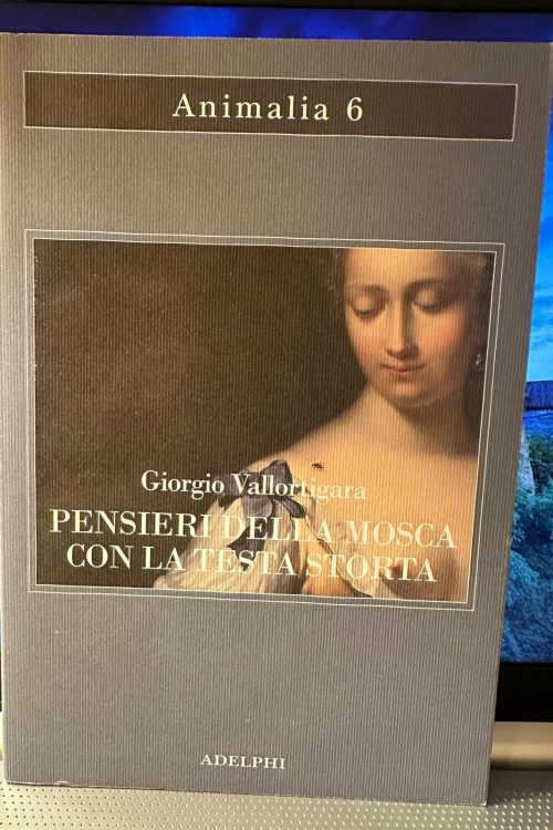 Immagine WhatsApp 2025-10-19 ore 19.08.02_fb909283 Animali 6