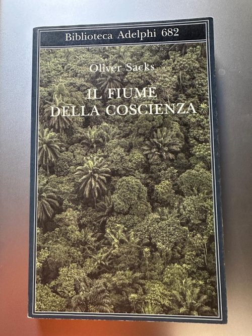 IL FIUME DELLA COSCIENZA