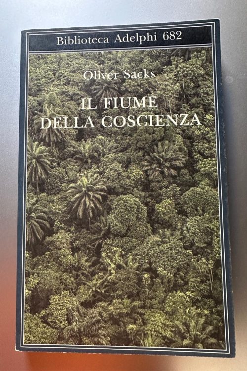 Immagine WhatsApp 2025-10-24 ore 19.00.33_3562b20c IL FIUME DELLA COSCIENZA