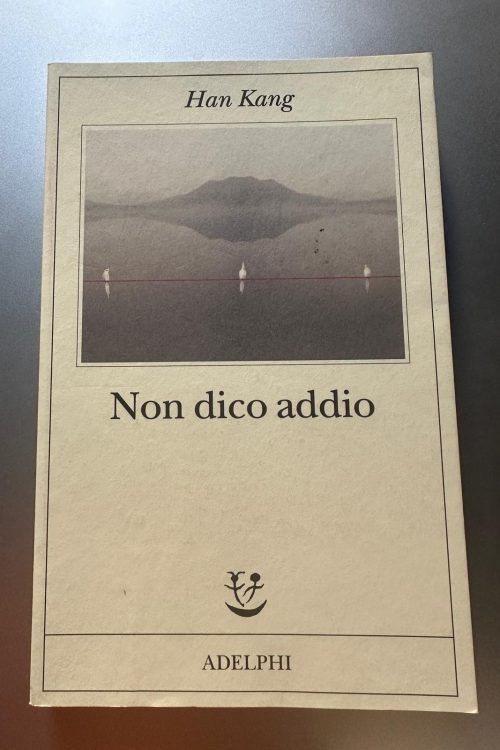 Immagine WhatsApp 2025-10-24 ore 19.00.33_c5c462b5 Han Kang Non dico addio