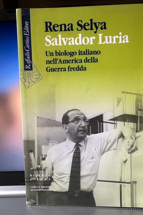 Immagine WhatsApp 2025-10-25 ore 16.15.57_fecf36e6 Rene Selya Salvador Luria