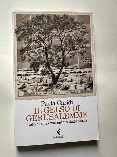 IL GELSO DI GERUSALEMME