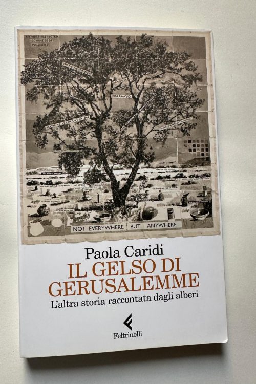 Immagine WhatsApp 2025-11-02 ore 15.26.03_b2219c11 IL GELSO DI GERUSALEMME